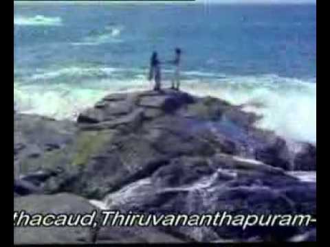 Hridayam oru veenayayi   Thammil Thammil 1985