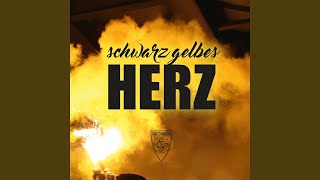 Video thumbnail of "Schwarz gelbes Herz - Halt die Fresse Ich will saufen"