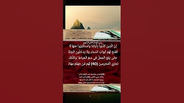 تلاوة خاشعة بصوت الشيخ عبدالولي الاركاني #قران_كريم  #تلاوة #القاريء