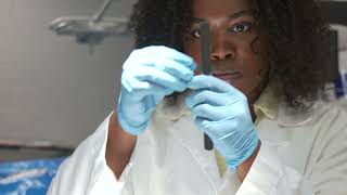REACH provides undergraduates research opportunities