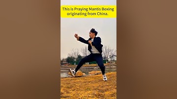 Praying Mantis Technique #kungfu #wushufight #martialarts