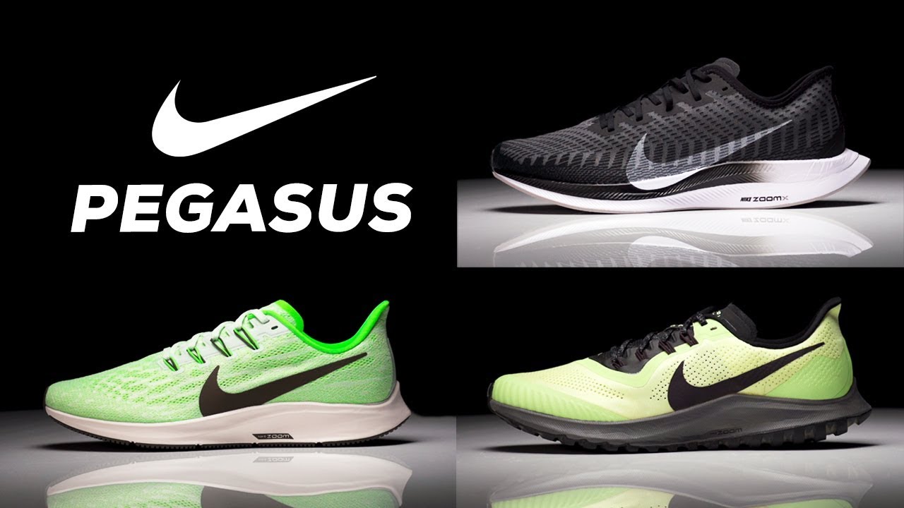 air zoom pegasus vs winflo