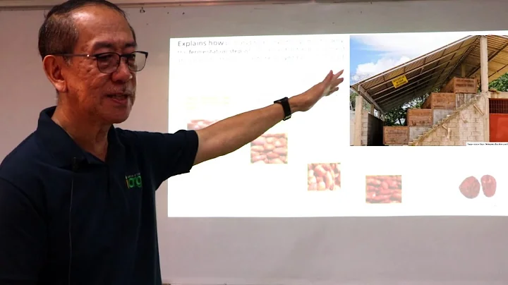 An Introduction: Cacao Primary Processing by SARAI...