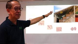 An Introduction: Cacao Primary Processing by SARAI Expert, Dr. Calixto Protacio of CAFS, UPLB