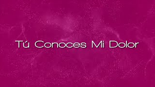 Video thumbnail of "Marcos Llanes - TÚ CONOCES MI DOLOR (Video Lyric Oficial) / Disco "ME PERDONASTE" [Track 9]"