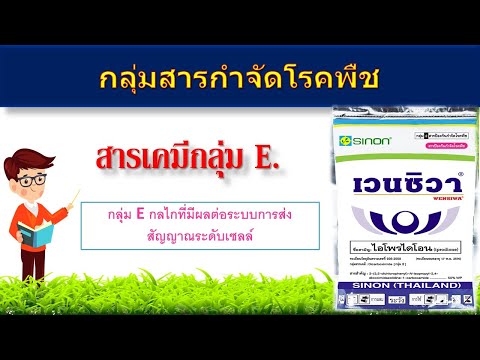 วีดีโอ: สารป้องกันเชื้อราคืออะไร – ความแตกต่างระหว่างสารป้องกันเชื้อราและสารกำจัดเชื้อรา