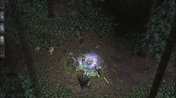 Blind Runs: Dungeon Siege (Part 60)