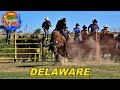 GUERREROS IMPLACABLES VS RANCHO LA HERRADURA EN DELAWARE.