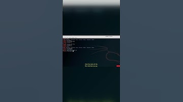 The CAT Command: A Guide to File Display and Concatenation #shorts