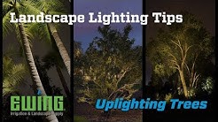 Landscape Lighting Tips - Uplighting Trees