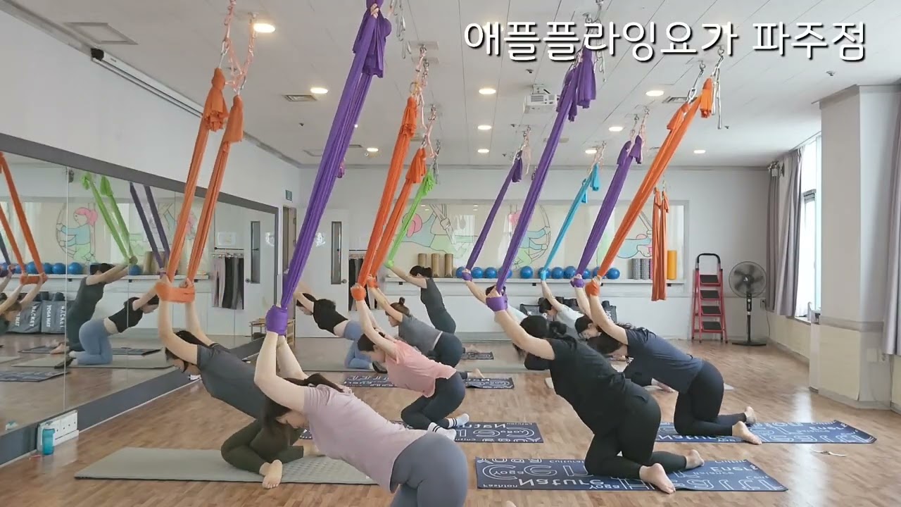 애플플라잉요가 파주점 워밍업(준비운동)/1.7배속_apple flyingyoga warmup