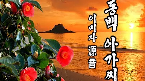 동백아가씨 이미자