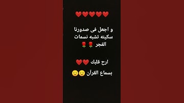 #قرآن_كريم #سورة_غافر #قرآن #ستوريات #اسلامية ❤️❤️🌹🌹