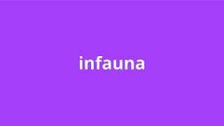 what is the meaning of infauna.
