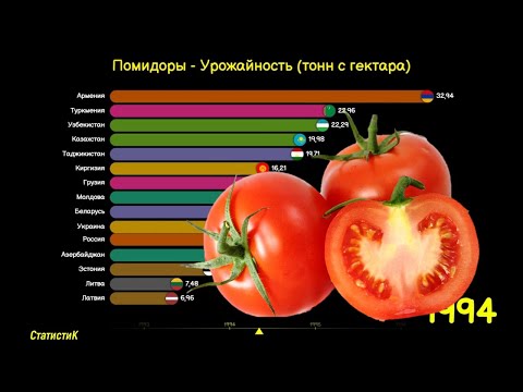 Помидоры - Урожайность