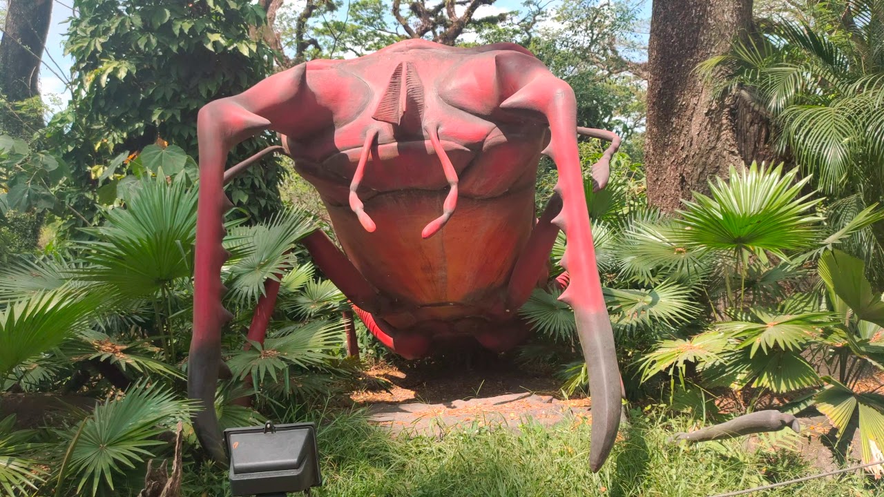 InsectLandia Pt 1| Come see what the buzzing is all about, 4KUHD - YouTube