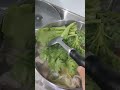 家常火鍋