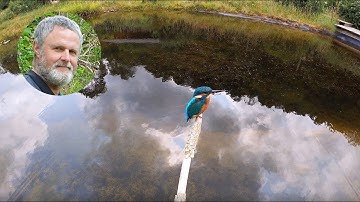 Kingfisher - Yoctop remote with GoPro 4K