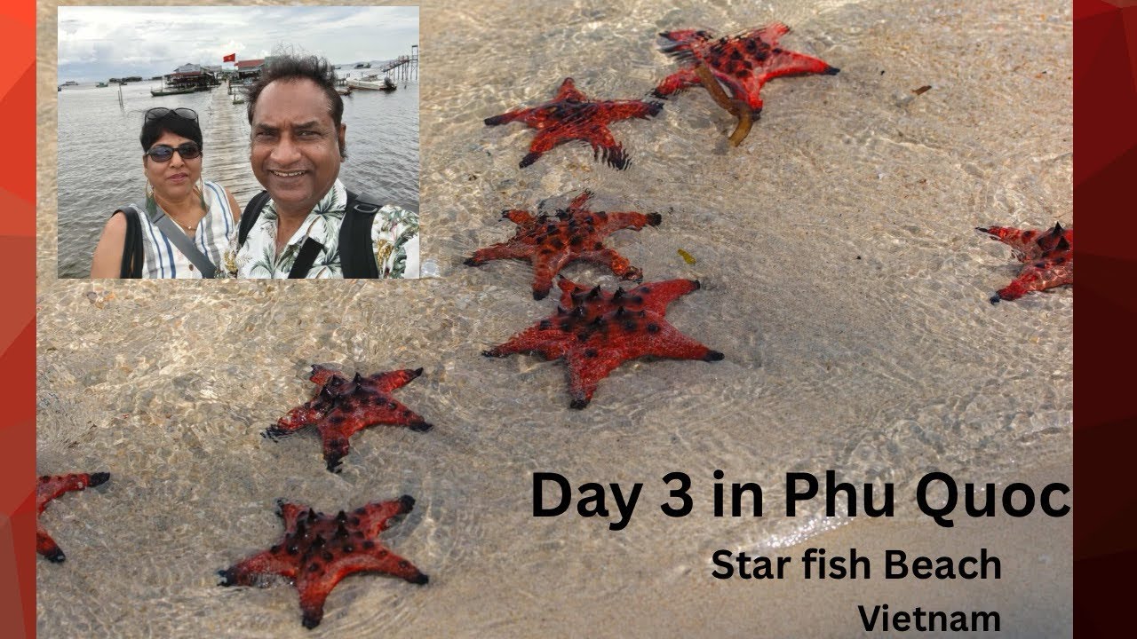 Visit to the Famous Star Fish Beach in Phu Quoc at Rach Vem Starfish ...