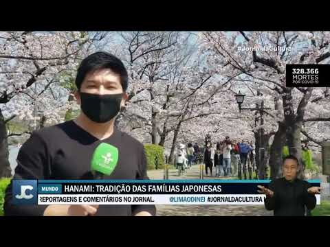 Vídeo: As Flores De Cerejeira Primavera No Japão Estão Florescendo Em Outubro