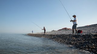 Pêche au maquereau à Cayeux sur Mer : Quand le poisson vient à la côte