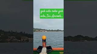 Ancook,Apa ini,hidup bagaimana ini #funny