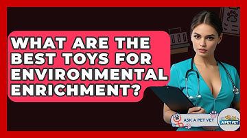 What Are The Best Toys For Environmental Enrichment? - Ask A Pet Vet