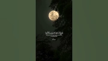 سورة الحشر | الشيخ ياسر الدوسري