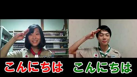 ソリッドスカウト