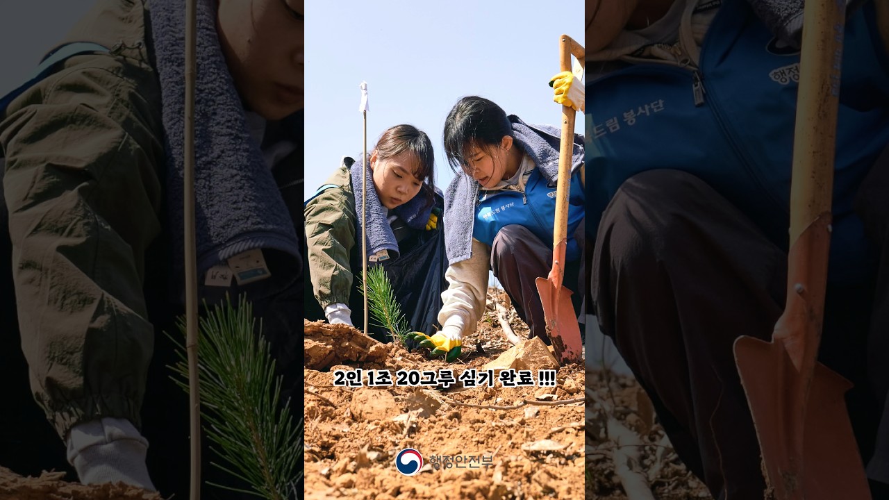 행안부 인턴들❕나무를 심다 🌳