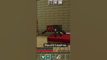 When a Spider gets inside your Minecraft house (Animated #shorts) @Mine-king-army