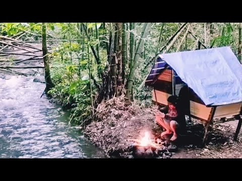 Build a survival shelter during heavy rain on the river - YouTube