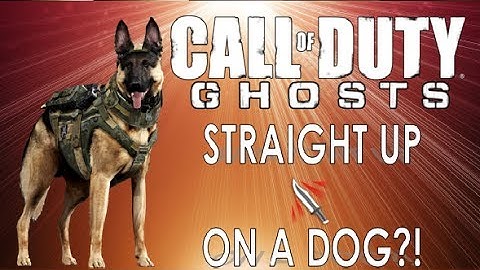 INSANE RANDOM STRAIGHT UP THROWING KNIFE ON A DOG?!?! (SUK!)