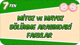 Mitoz Ve Mayoz Bölünme Arasındaki Farklar 7Fen5