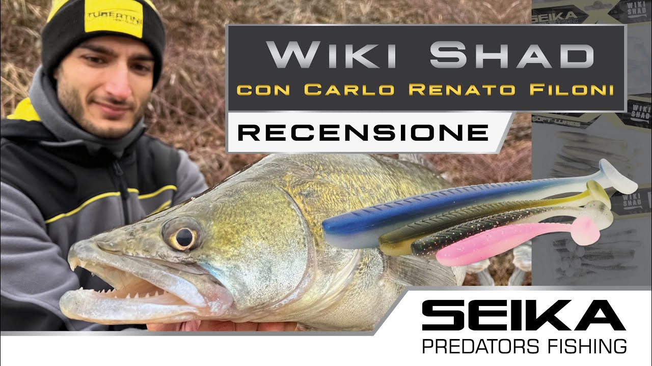 𝐖𝐢𝐤𝐢 𝐒𝐡𝐚𝐝 | 𝐒𝐞𝐢𝐤𝐚 | 𝐏𝐫𝐞𝐬𝐞𝐧𝐭𝐚𝐳𝐢𝐨𝐧𝐞 - YouTube