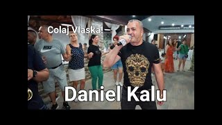 Daniel Kalu Sonea 🎵 The Danube Rockets LIVE 2026💥 ||