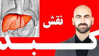 #04  نقش کبد در بدن |  رایج ترین علل کبد چرب