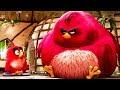 The Anger Management Class The Angry Birds Movie 