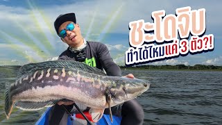 ตีชะโดจิบ แค่ 3 ตัวจะทำได้ไหม? เขื่อนอุบลรัตน์ Snakehead Fishing, Khonkan