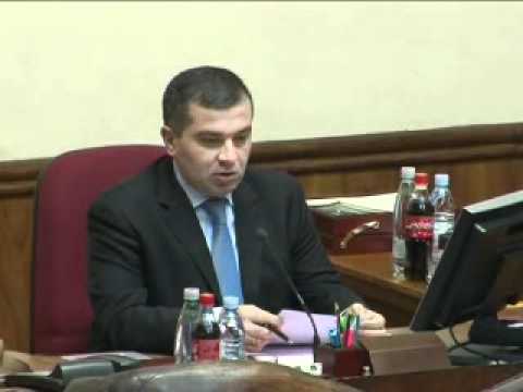 პარლამენტის პლენარული სხდომა
