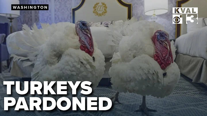 Trump pardons Thanksgiving turkeys