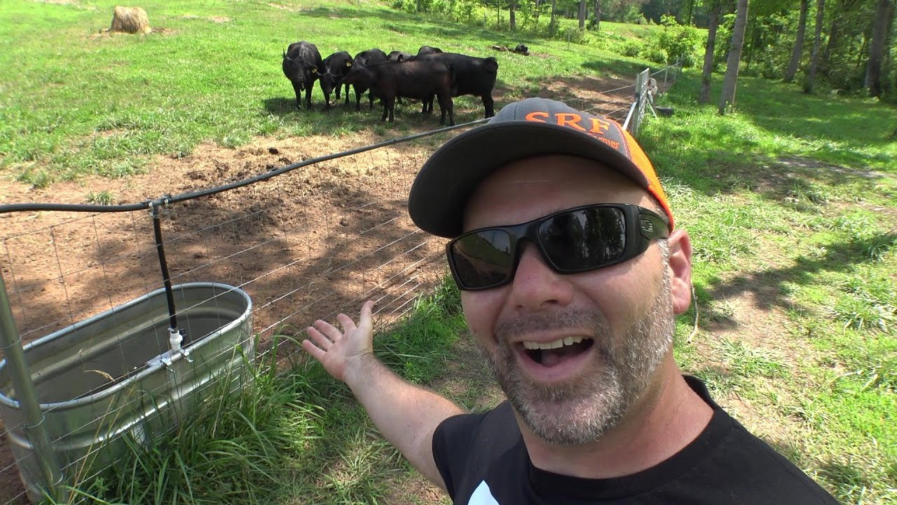 Passive water system keeps failing! The cows need your help!