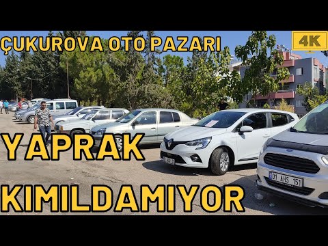 YAPRAK KIMILDAMIYOR !!! l 2.El Araba Fiyatları l 2.El Oto Pazarı