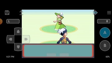 my treecko evolves in to grovyle