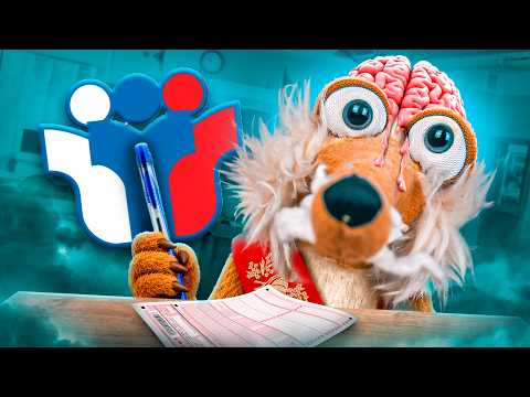 Я СДАВАЛ ЕГЭ - ТРЭШ ИСТОРИИ