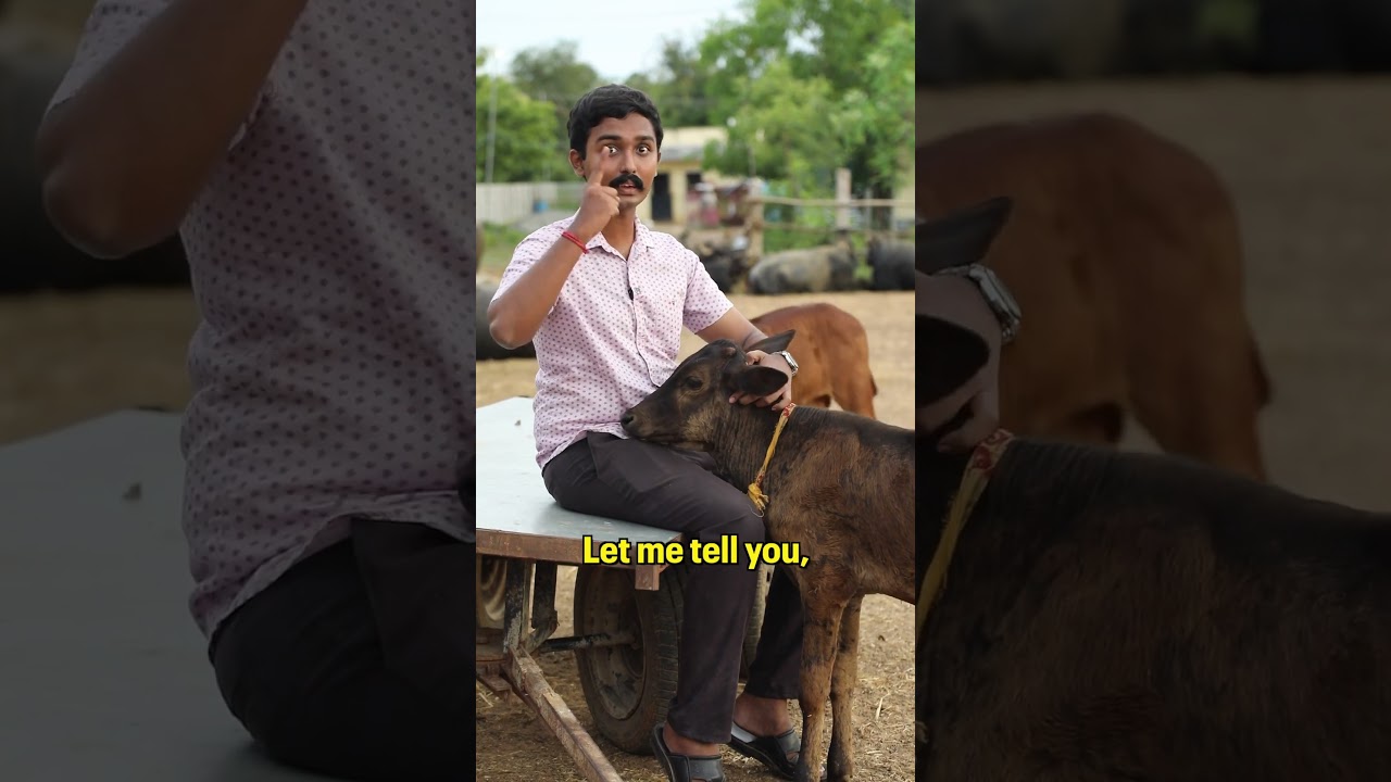 Why do I keep posting such videos?