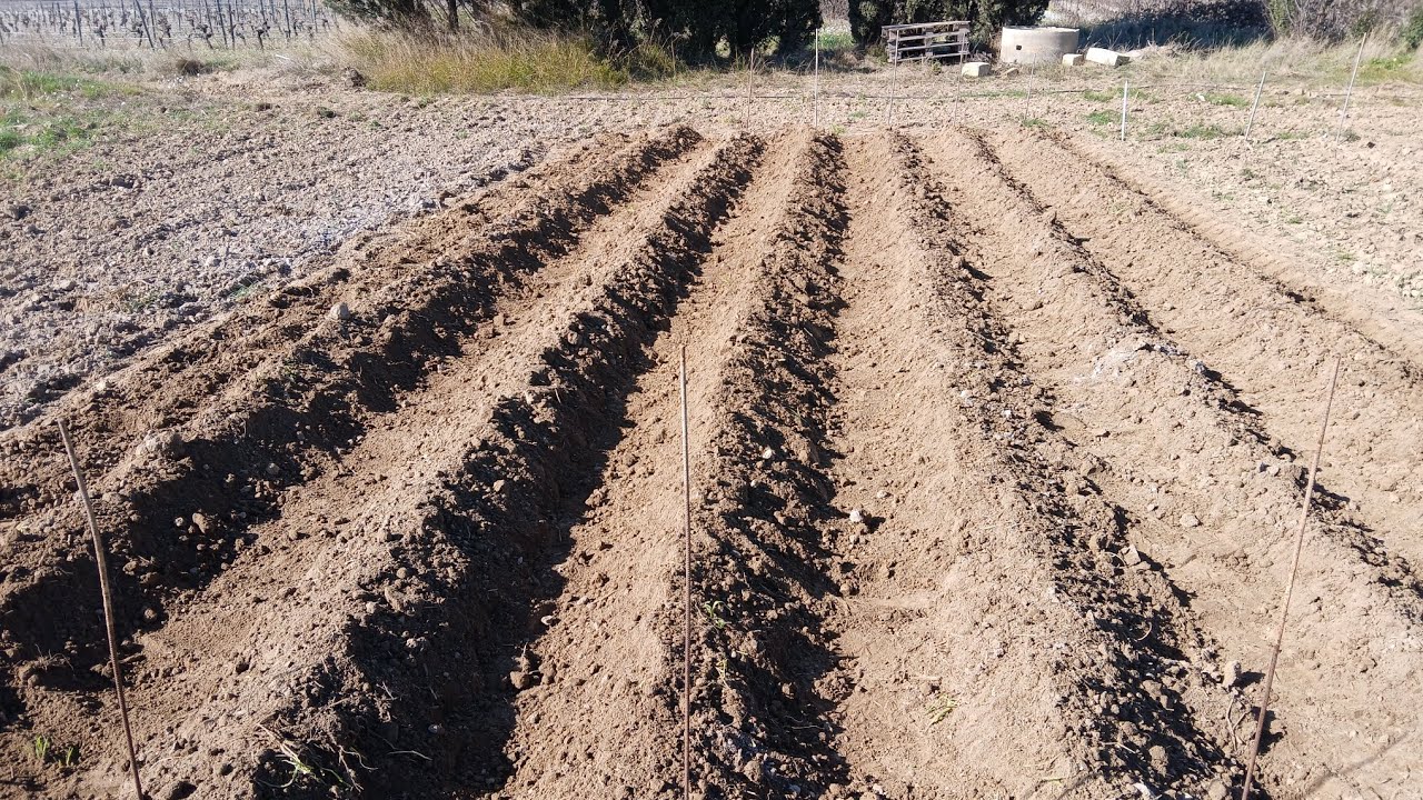 Priče iz vinograda - JESENJE ZAGRTANJE