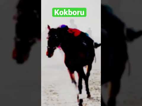 Видео: #көкбөрү #horseracing #аламанбайге #ат #kokboru #жылкылар #көкпар #kokpar2021 #kokparkazaxstan