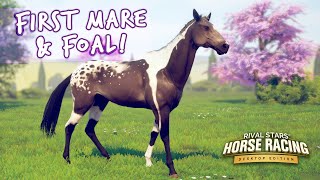 First Mare & Foal! || Rival Stars Horse Racing