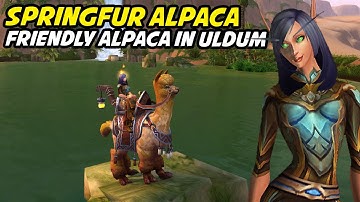 Springfur Alpaca - Feeding the Friendly Alpaca (Alpaca It in)